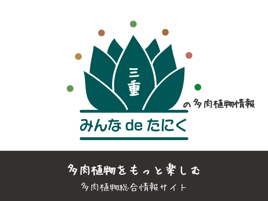 CORONCACTUS | 多肉植物販売店 | みんなで多肉