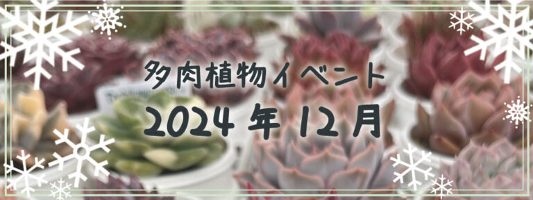 12月多肉植物イベント一覧