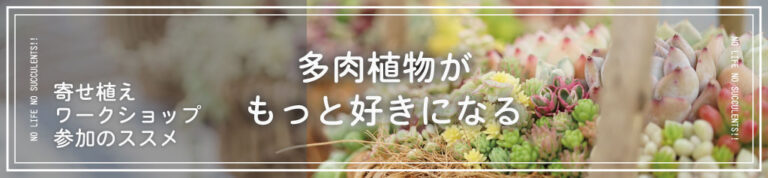 初心者も楽しめる多肉植物の寄せ植えワークショップ